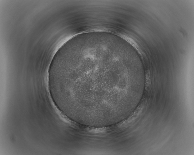 X0000115121047200911101622