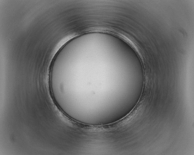 X0000115121050200911101622