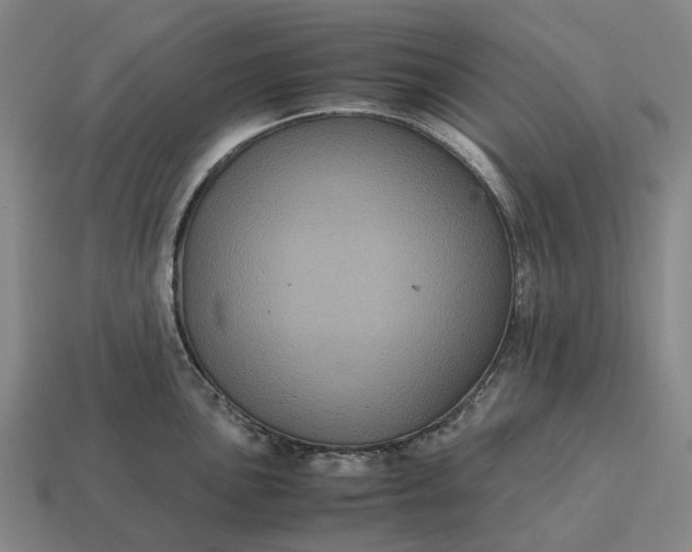 X0000115121051200911101622