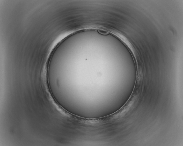 X0000115121053200911101622