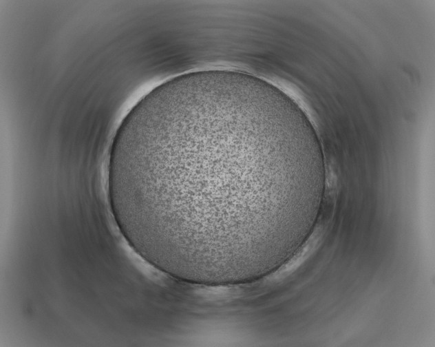 X0000115121054200911101622