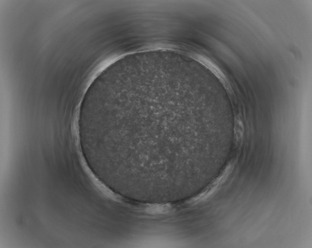 X0000115121055200911101622