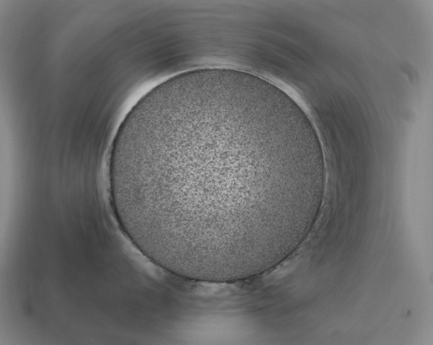 X0000115121056200911101622