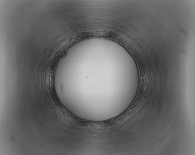 X0000115121058200911101622