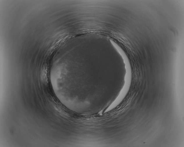 X0000115121060200911101622