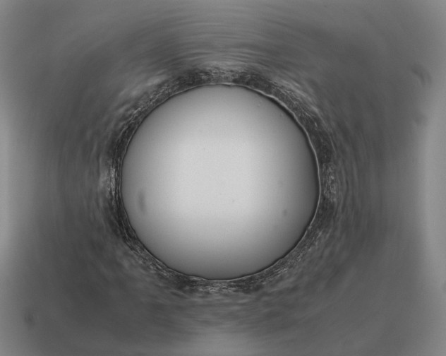 X0000115121061200911101622