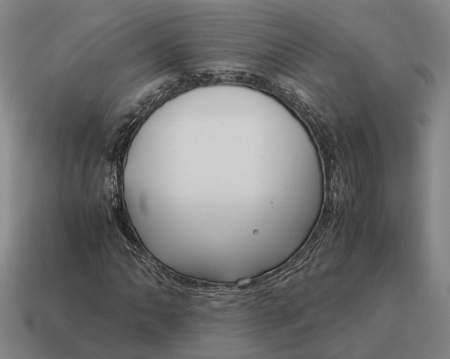 X0000115121062200911101622