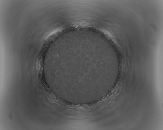 X0000115121063200911101622