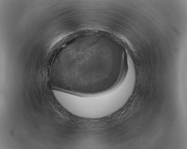 X0000115121064200911101622