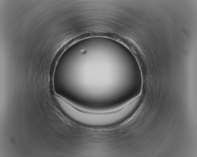 X0000115121065200911101622
