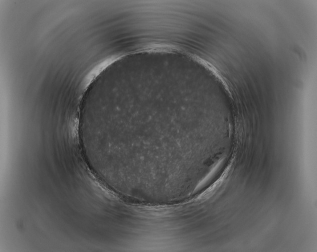X0000115121066200911101622