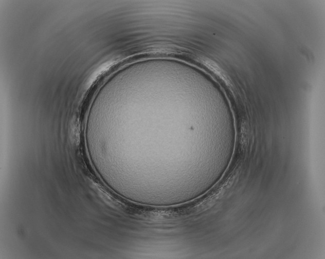 X0000115121067200911101622