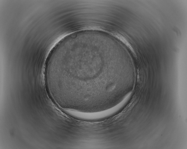 X0000115121068200911101622