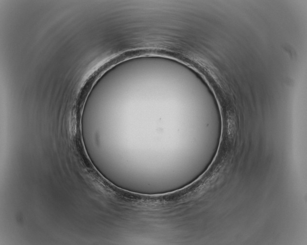 X0000115121069200911101622