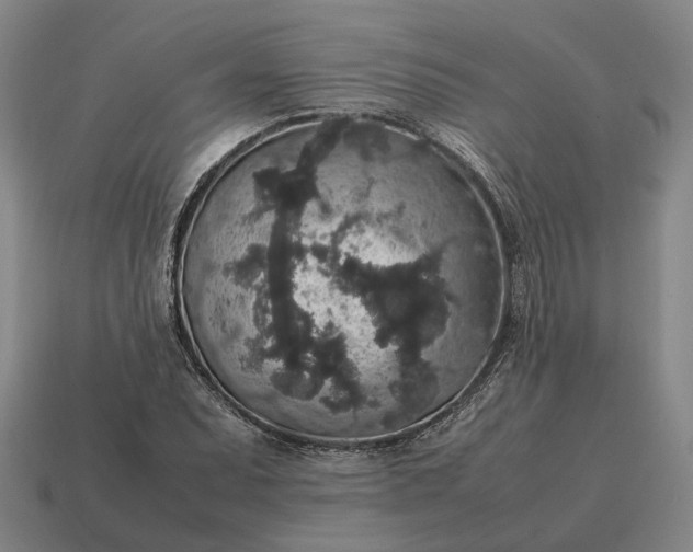 X0000115121071200911101622