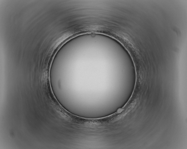 X0000115121073200911101622