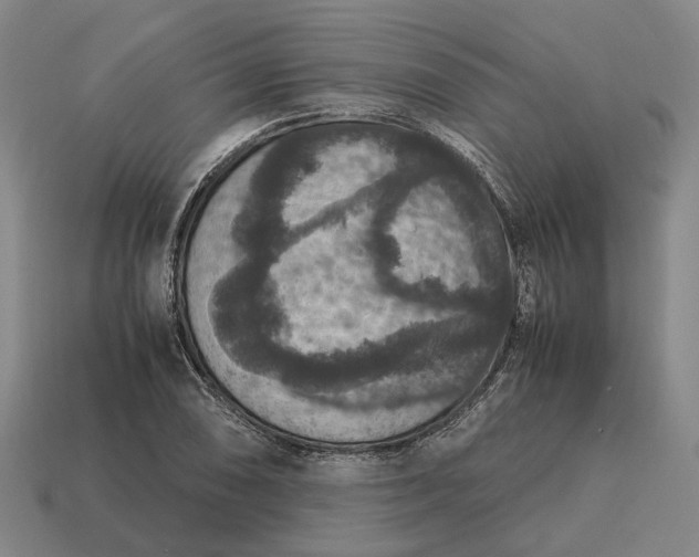 X0000115121074200911101622