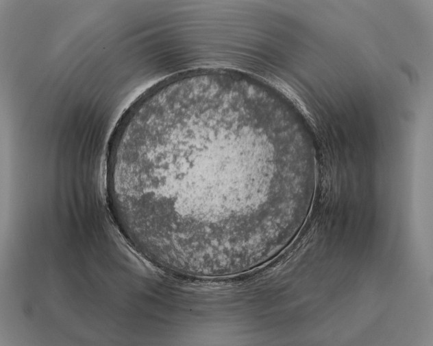 X0000115121076200911101622