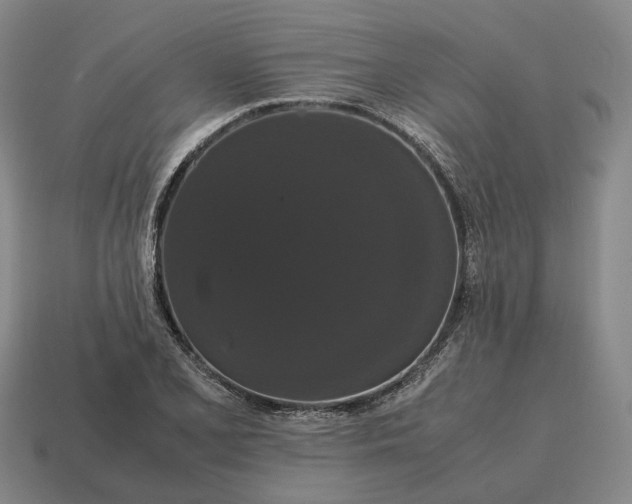 X0000115121077200911101621