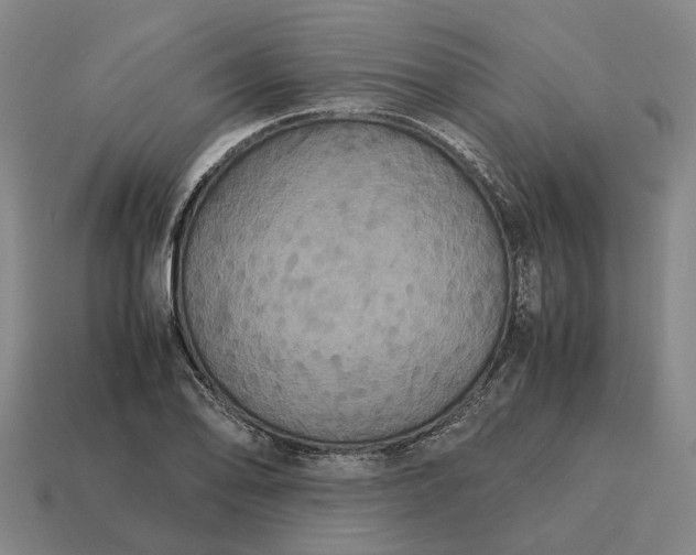 X0000115121078200911101621