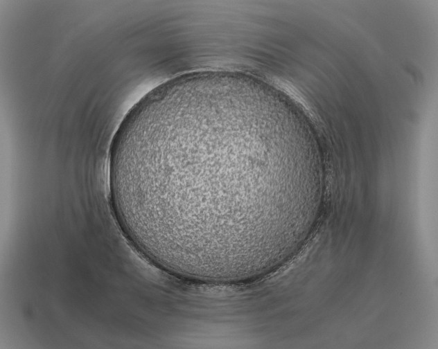 X0000115121079200911101621