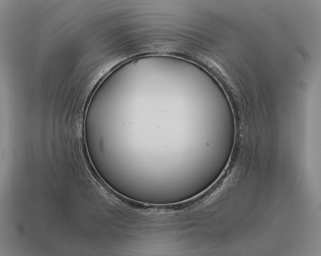 X0000115121081200911101621