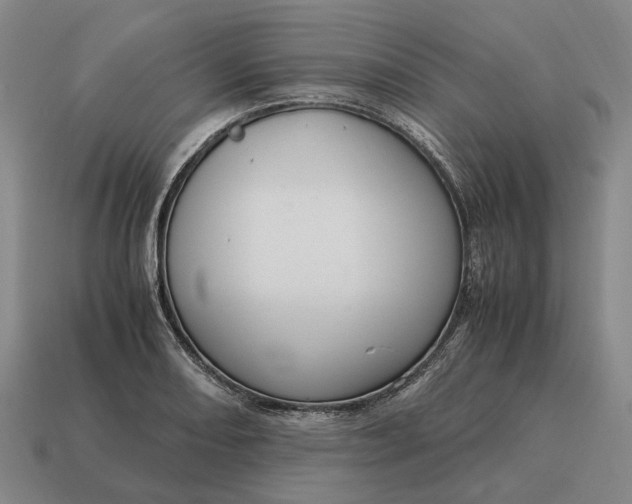 X0000115121082200911101621