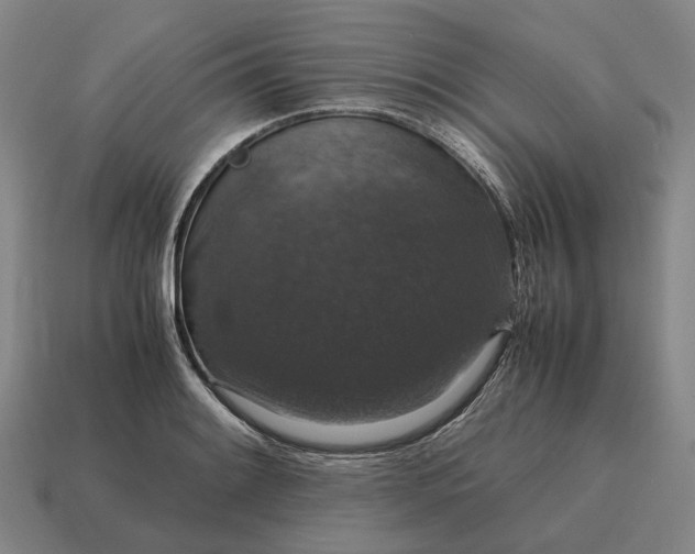 X0000115121084200911101621