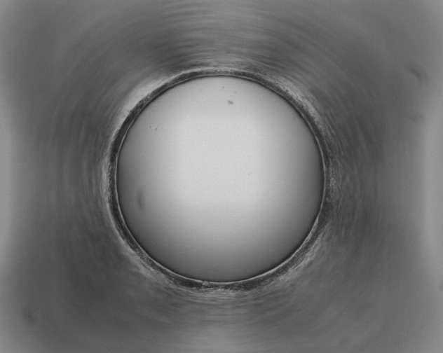 X0000115121085200911101621