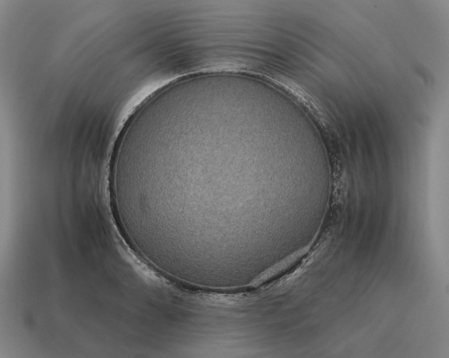 X0000115121086200911101621