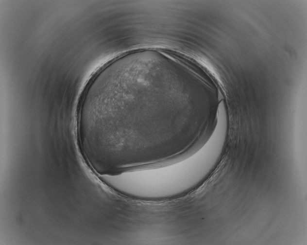 X0000115121088200911101621