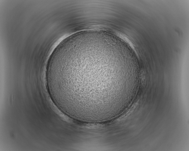 X0000115121091200911101621