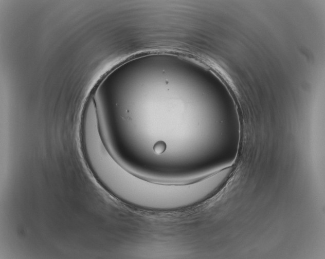 X0000115121093200911101621
