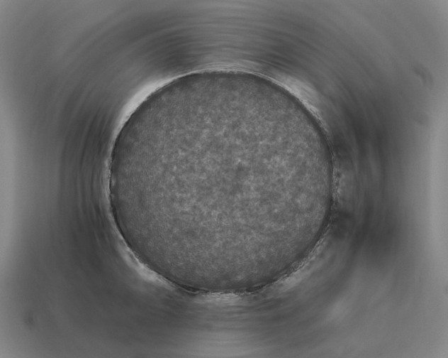 X0000115121094200911101621