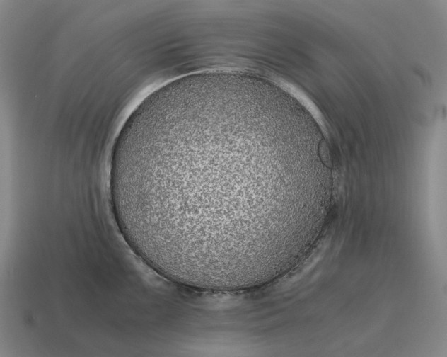 X0000115121099200911101621