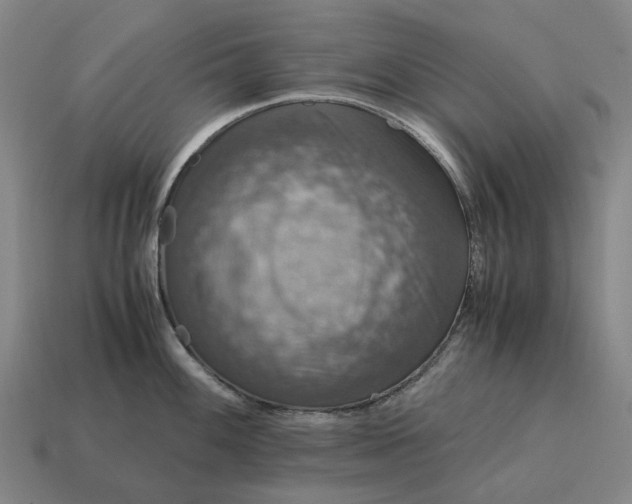 X0000115121100200911101621