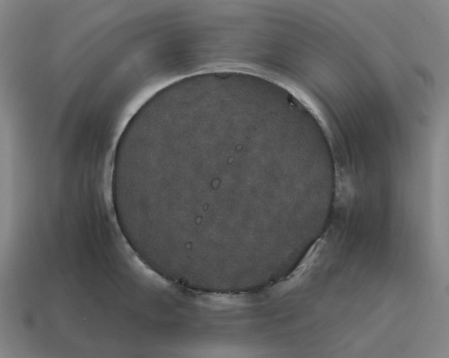 X0000115121102200911101621
