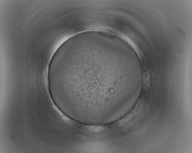 X0000115121103200911101621