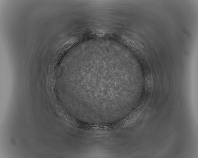 X0000115121105200911101620