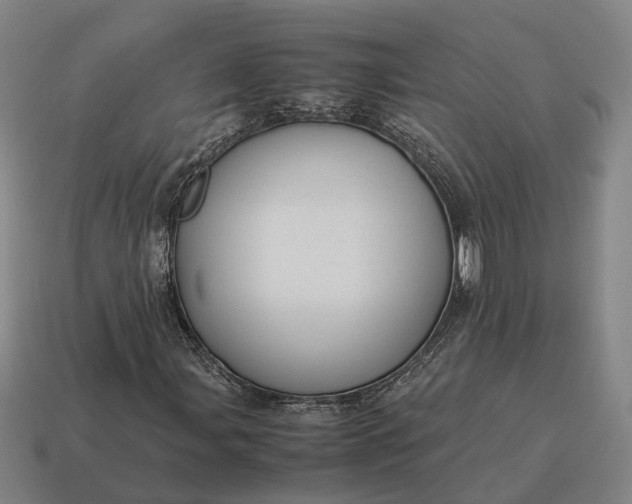 X0000115121107200911101620