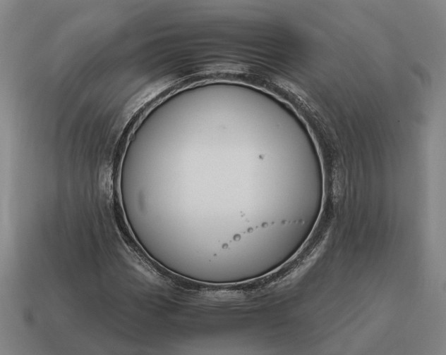 X0000115121113200911101620