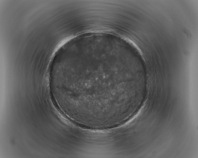 X0000115121114200911101620