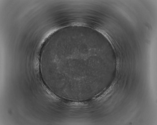 X0000115121115200911101620