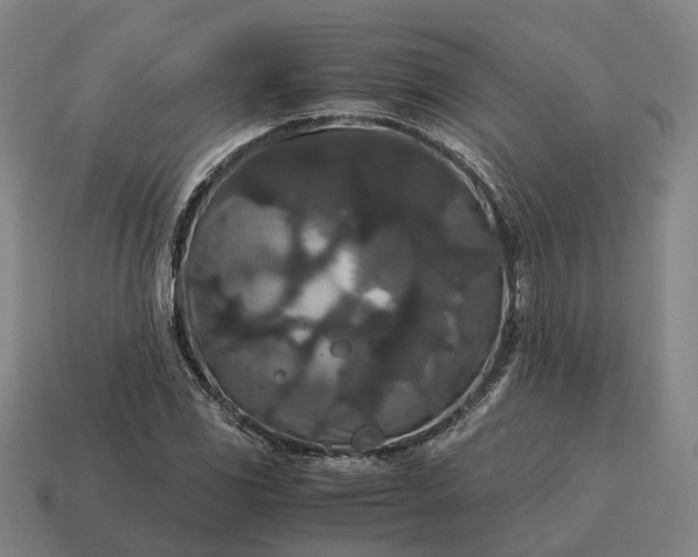X0000115121117200911101621