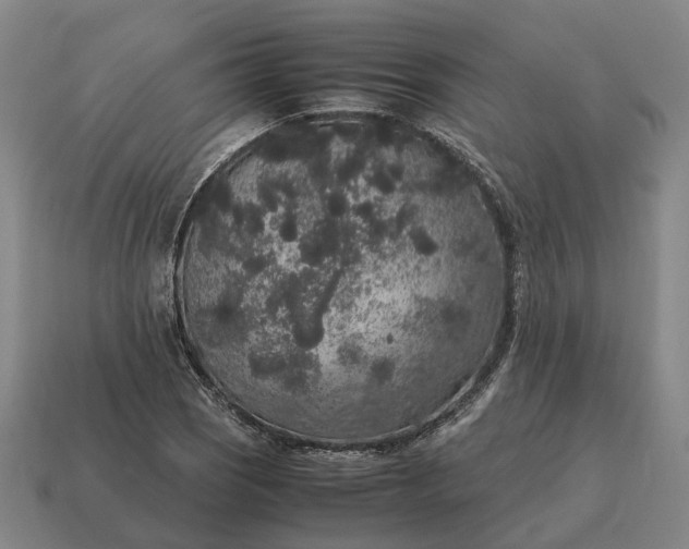 X0000115121121200911101621