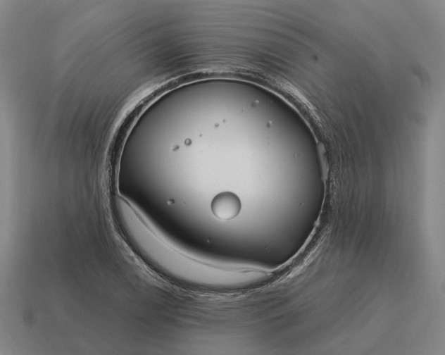 X0000115121122200911101621