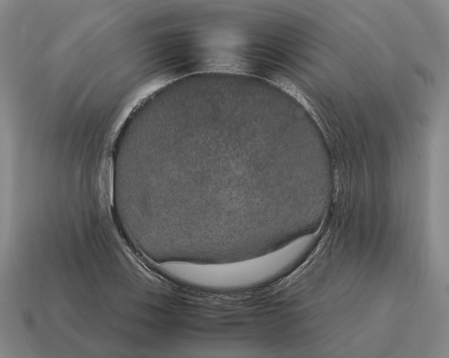 X0000115121123200911101621