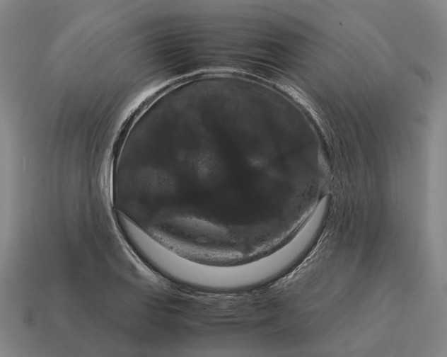 X0000115121127200911101621