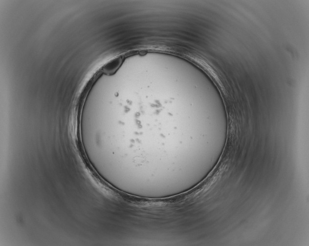 X0000115121131200911101621