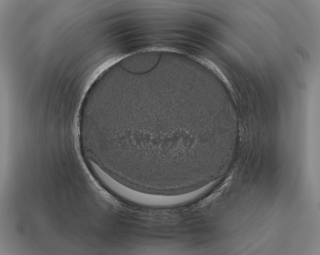 X0000115121133200911101621